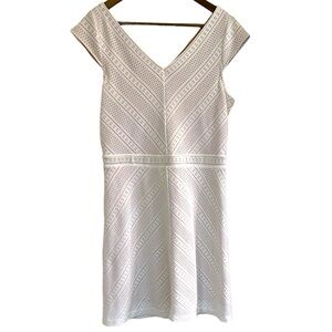 Dress barn white lace fit, and flare dress women 14 petite